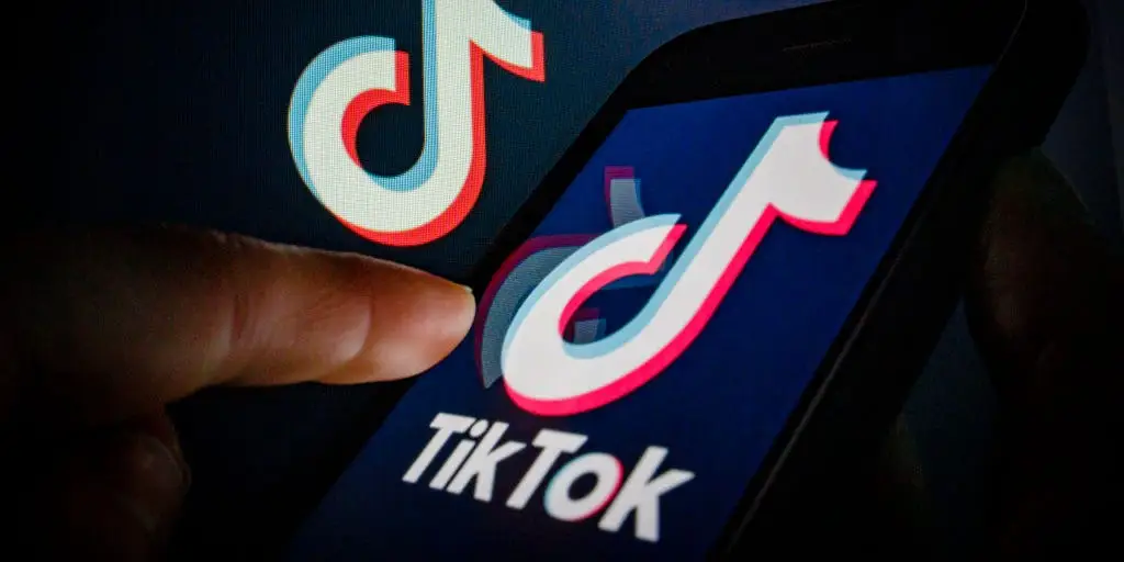 MP4 Video Saving Tools Supporting Flexible TikTok Media Playback Accessibility