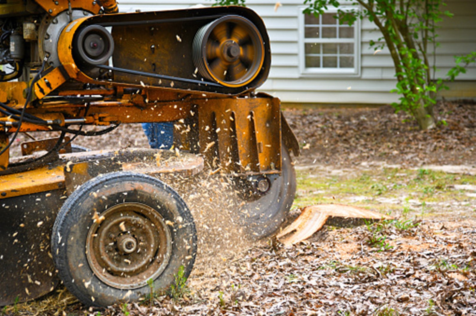 Stump Grinding Manchester